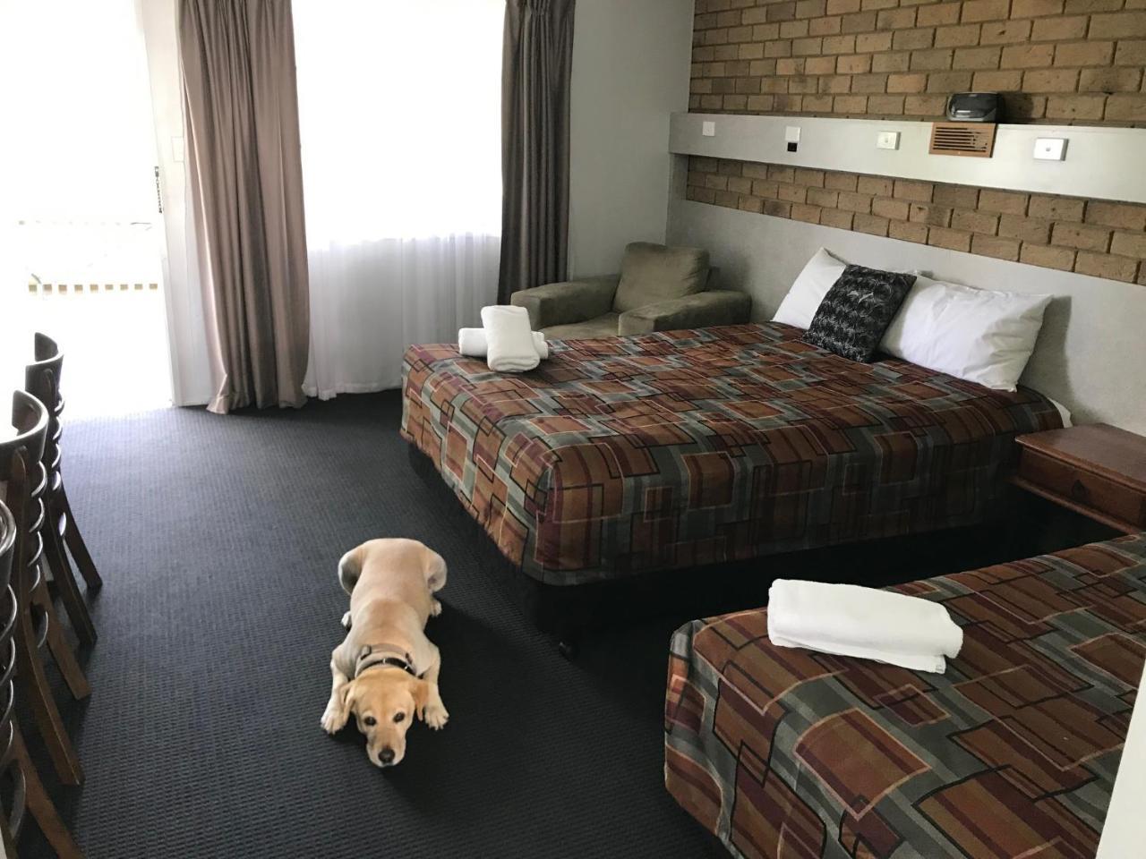 True Blue Motor Inn Rockhampton Eksteriør billede